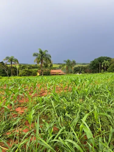 Fazenda de 120 hectares em Conceição do Mato Dentro MG agricola e pecuaria