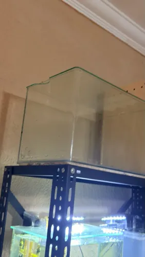 Aquario