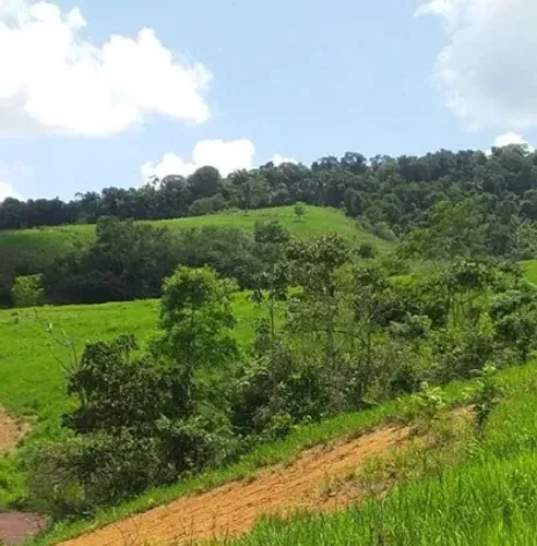 Imóvel Rural, 33ha, Cajueiro/AL
