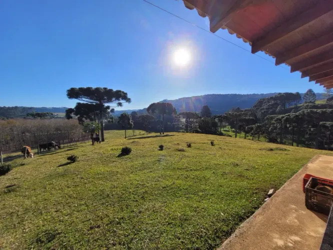 Linda chácara em Campo Alegre SC - 17.000 m²