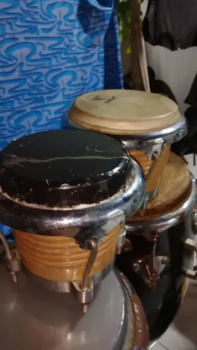 Bongo Raul 