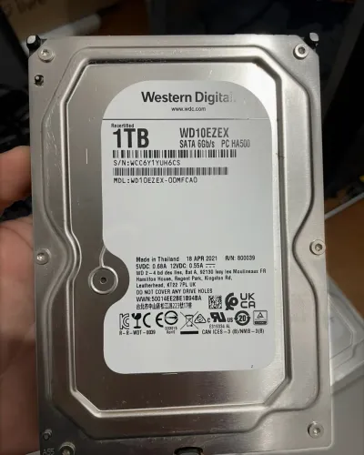 HD WD 1TB