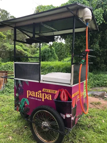 Carrinho de Açaí para Venda Ambulante