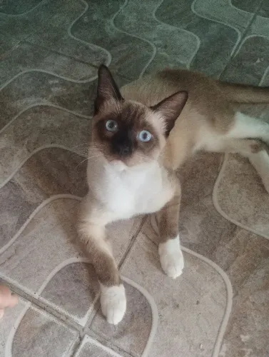 DOAÇÃO