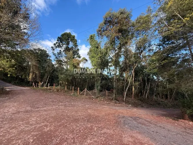 Oportunidade Exclusiva na Região do Alto da Vila Inglesa - O Lote de Terreno Mais Barato d