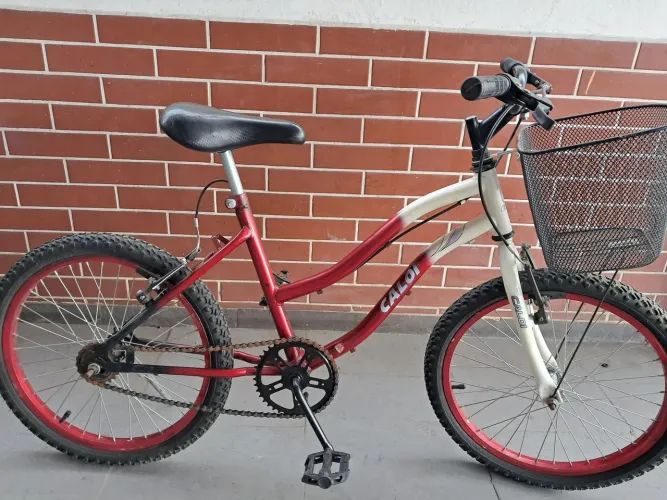 Bicicleta