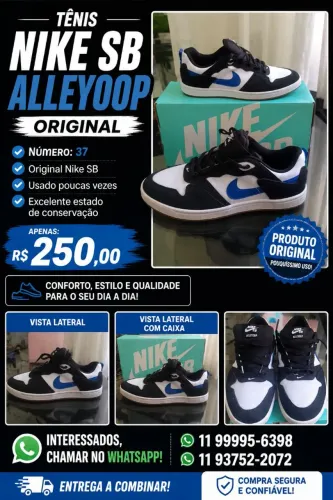 Tênis Nike SB ALLEYOOP original