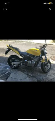 Hornet 2007