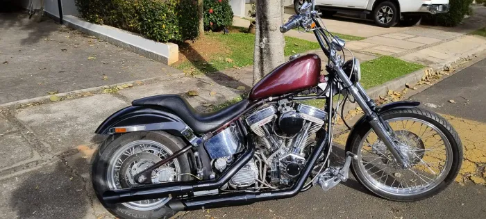 Harley Davidson Softail RevTech Carburada