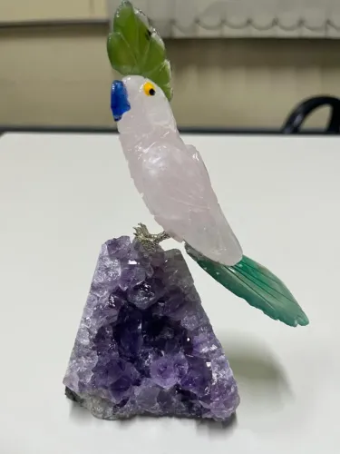 Papagaio Talismã