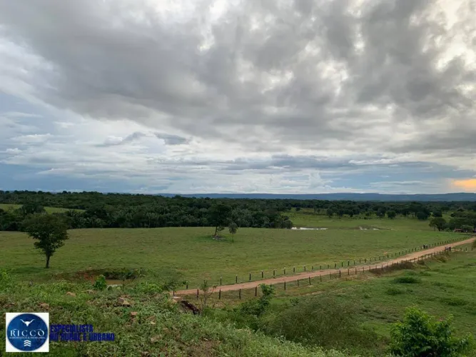 Fazenda à Venda em Piranhas (GO) 79 Alqueires