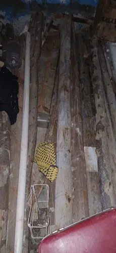 Escora  eucalipto 