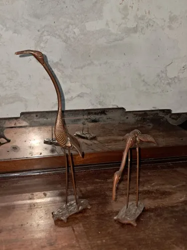 Antigas garças vintage (antiquario)