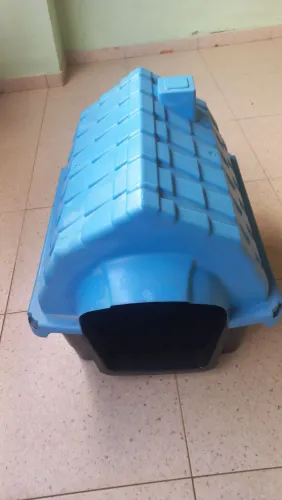 Casinha para seu PET
