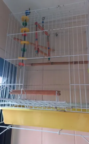 Gaiola para calopsita ótimo estado