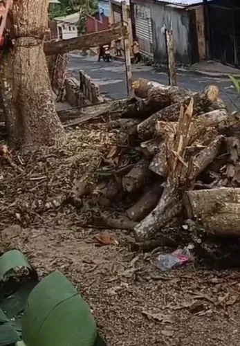 Doação Lenha para fornos e fogões