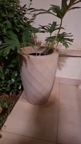 Vaso de Plantas