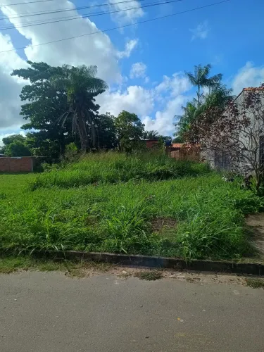 Terreno grande