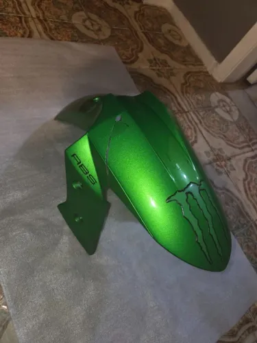 Paralama dianteiro original da Kawasaki Ninja 300 - Verde metálico