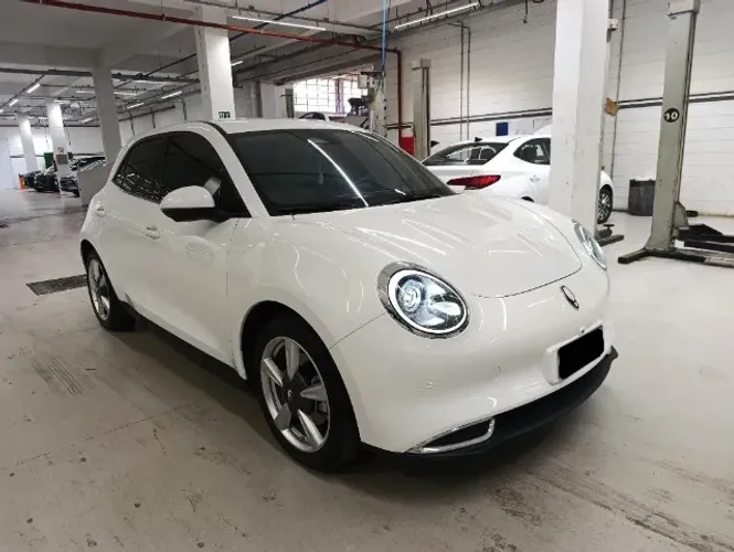 GWM Ora 03 Skin (elétrico) 2024