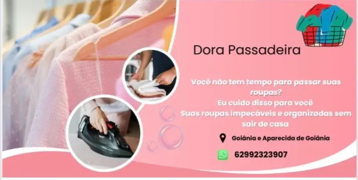 Passadeira profissional