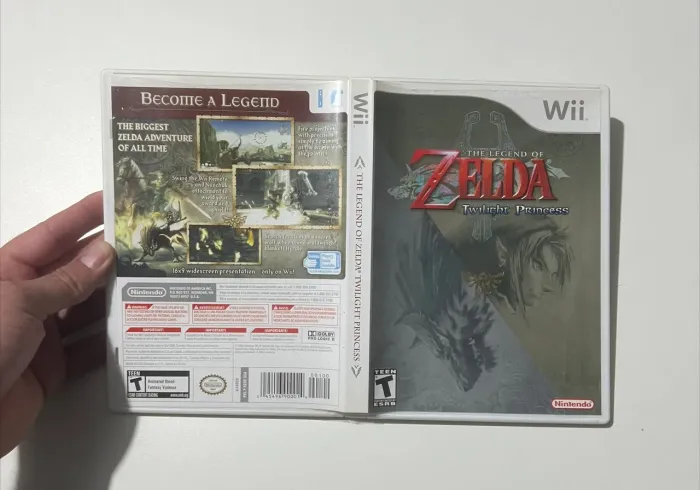 Zelda Wii