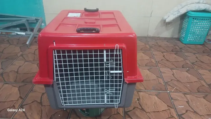 CAIXA DE TRANSPORTE PARA CÃES