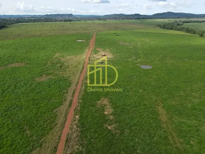 FAZENDA SANTA MARTA SÃO FÉLIX DO XINGU/PA