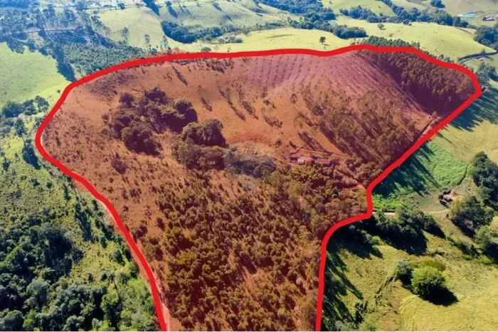Sítio produtivo de 20 hectares em Socorro 35.000 pés de eucalipto gerando R$168 mil + áre
