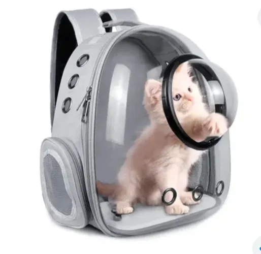 Trasporte para gatos cor preta