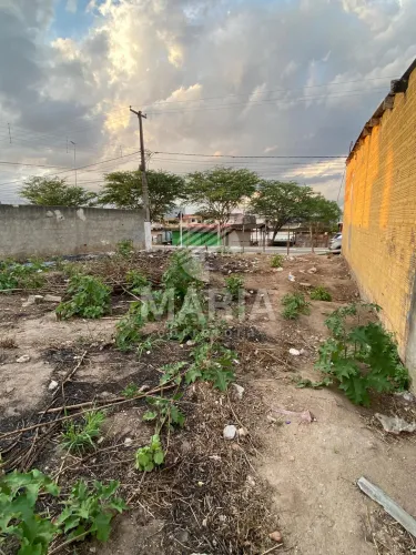 Lote fora de condomínio excelente para empreendimento em Bezerros/PE!