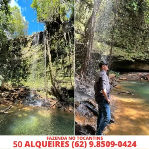 Fazenda com Cachoeiras e Mina dagua Estado Cidade Tocantins Palmas 50 Alqueires chacara