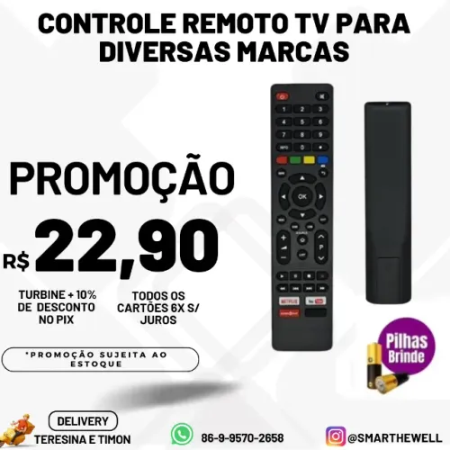 Controle Remoto Tv e Smart Tv com Pilhas