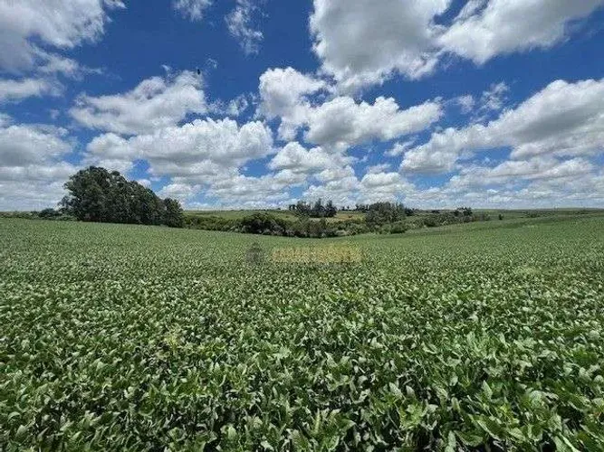 SITÍO 8,7 HECTARES