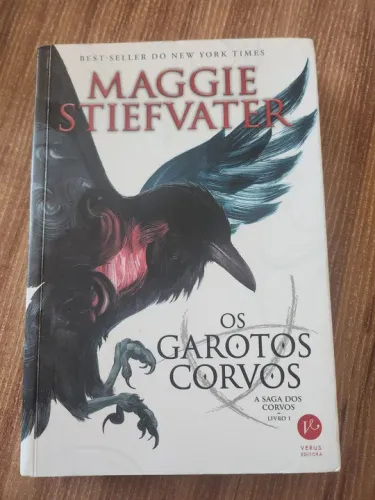 Os Garotos Corvos - Livro 1 - A Saga dos Corvos