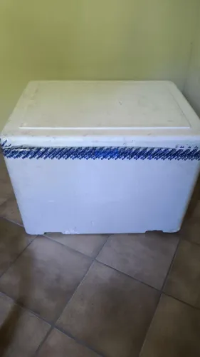 Caixa de isopor 170l