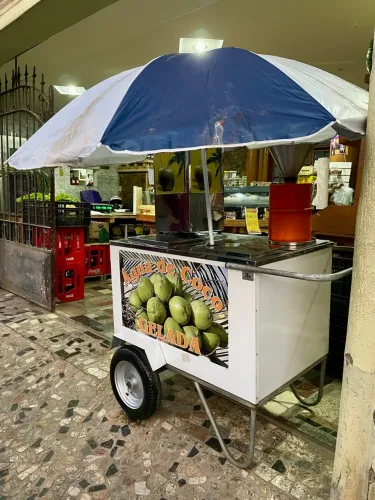 Carrinho Água de coco.