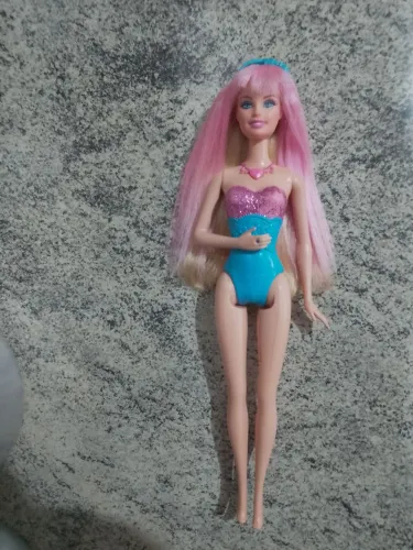 Princesa e a pop star, Barbie tori