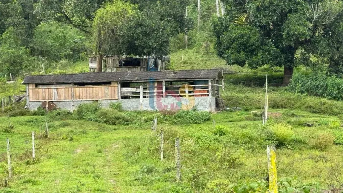 Vendo Fazenda com 100Ha na Região de Ibirataia