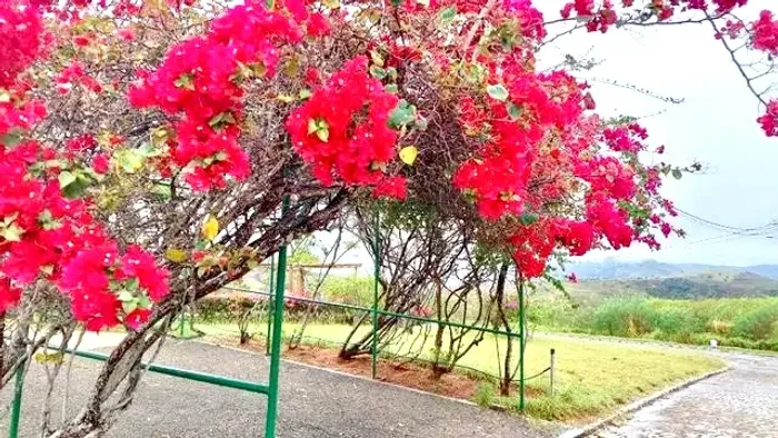 LOTE NO QUINTAS DA SERRA - 2.486 m² - SERRA DE SÃO BENTO
