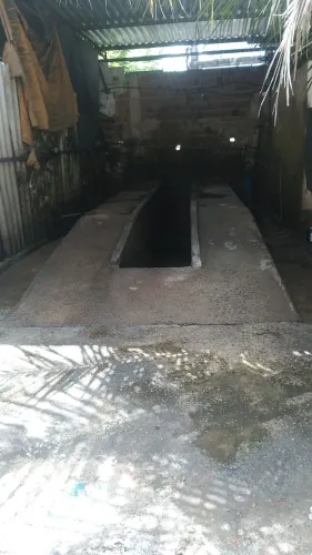 Lavador de automóveis