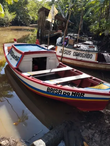 Barco de 5,5 Metros,motor yanmar 5 Hp