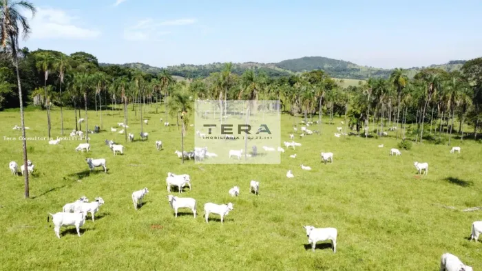 Fazenda para Venda em Bela Vista de Goiás, Zona Rural