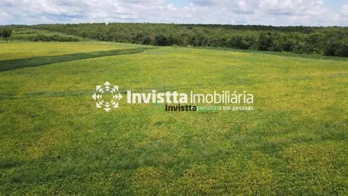 Fazenda de 445 alqueires com lavoura consolidada e alto potencial de expansão em Pedro Afo