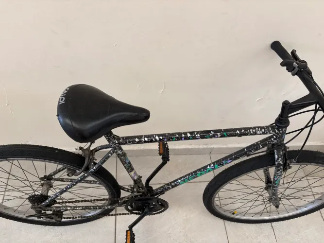 Bicicleta