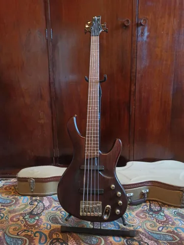 Baixo 5 cordas Ativo Ibanez Ergodyne EDB555 + Hard Case