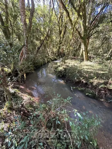 Chácara Apanhador Caxias do Sul