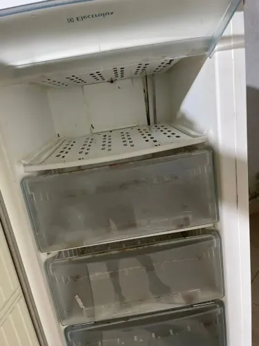 Freezer vertical