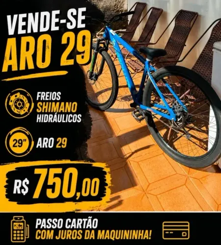 BICICLETA ARO 29