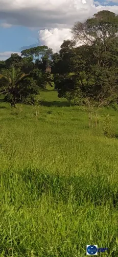Chácara com Renda Garantida à Venda em Ouro Verde de Goiás 4 Alqueires